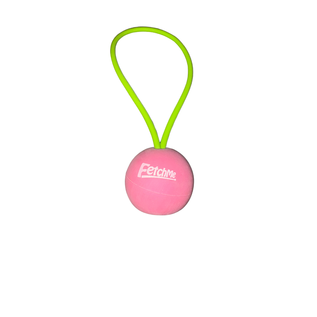 FetchMe Ball